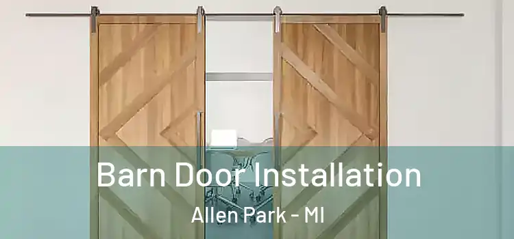 Barn Door Installation Allen Park - MI
