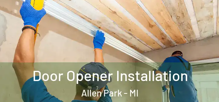 Door Opener Installation Allen Park - MI