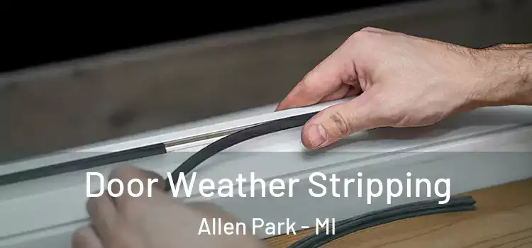Door Weather Stripping Allen Park - MI