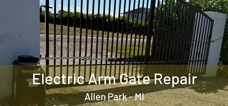 Electric Arm Gate Repair Allen Park - MI