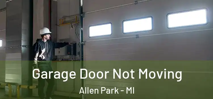  Garage Door Not Moving Allen Park - MI