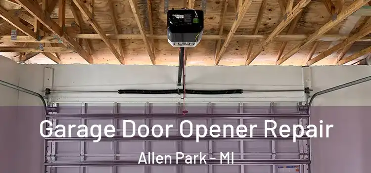  Garage Door Opener Repair Allen Park - MI