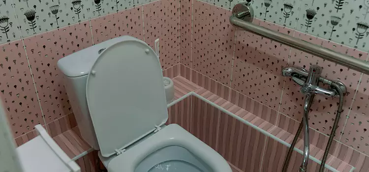 Meeting Diverse Needs With Accessible Restroom Solutions in Allen Park, MI