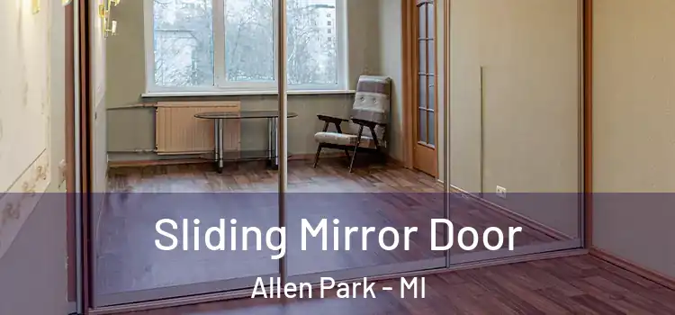  Sliding Mirror Door Allen Park - MI